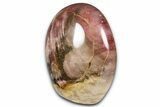 Freestanding, Polished Petrified Wood - Madagascar #384378-1